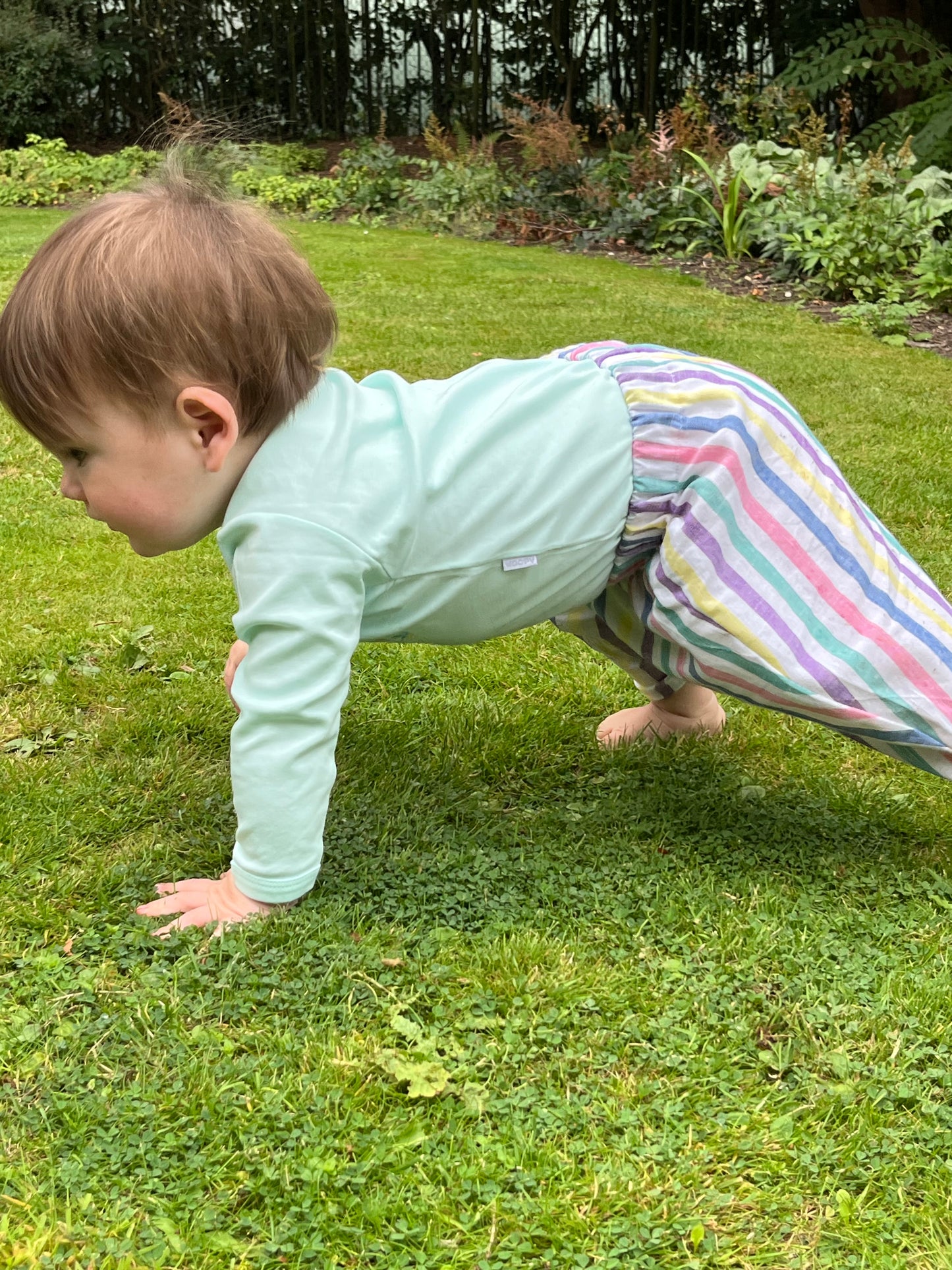 Candy Balloon pants