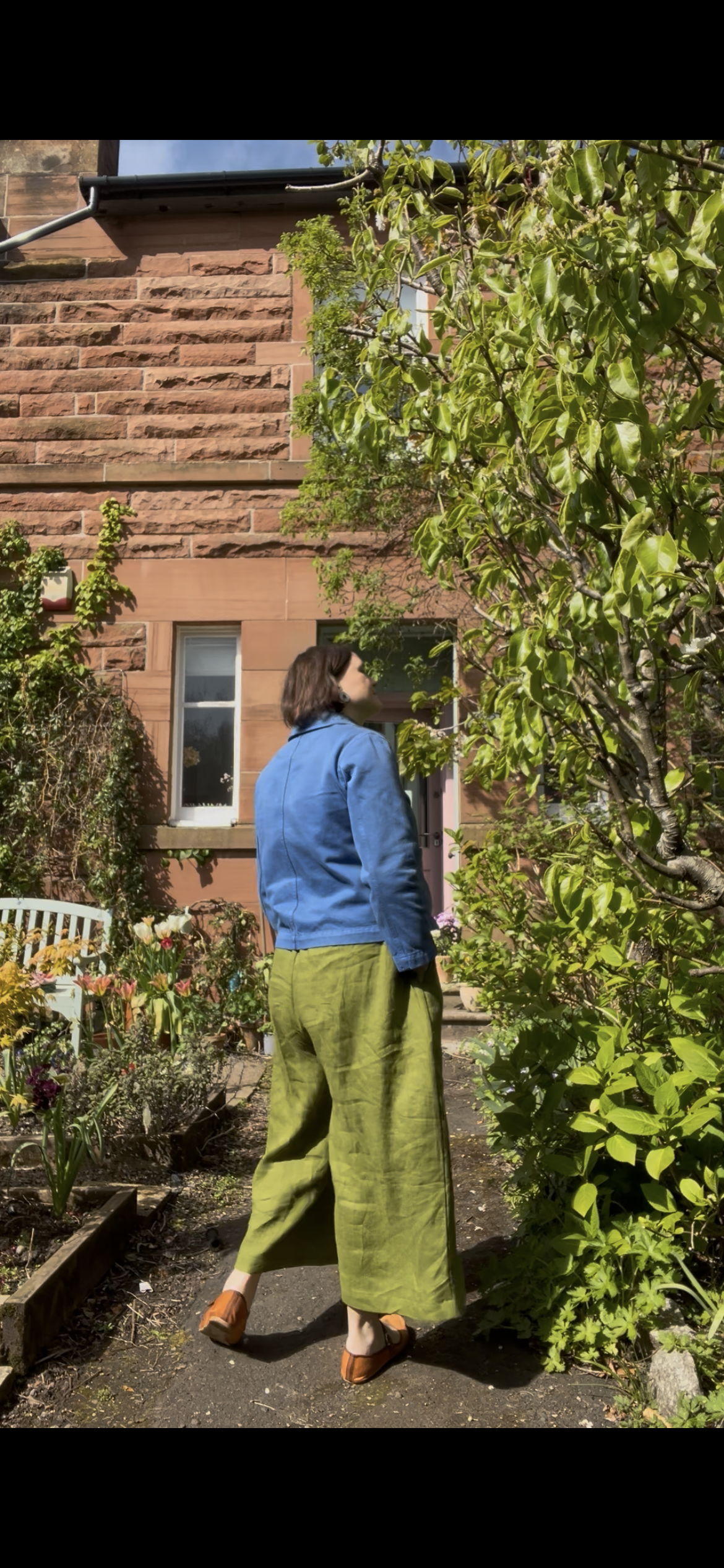 Allium culottes