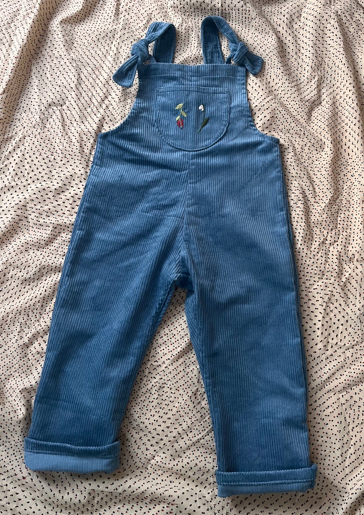Rosehip Dungarees, blue, red
