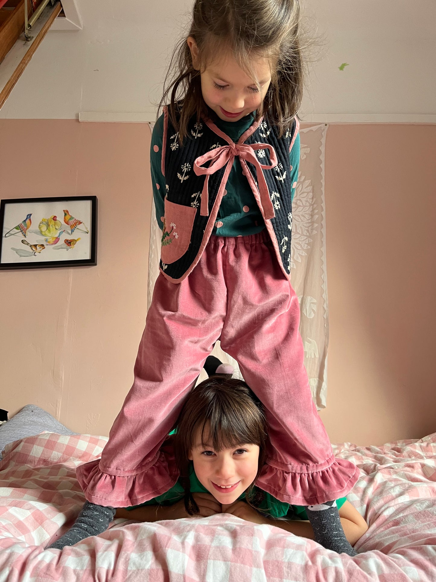 Daisy frill in velvet