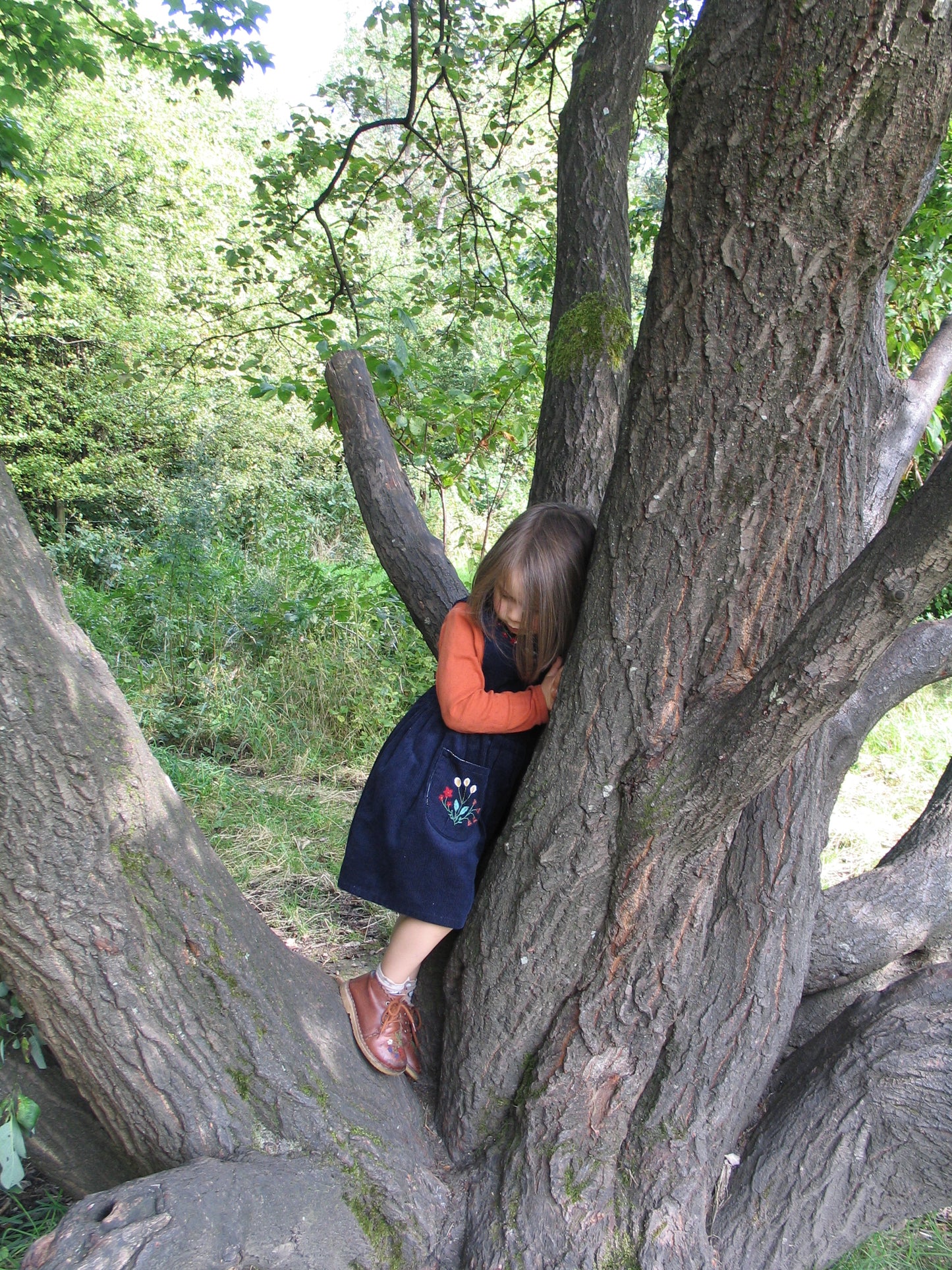 Bramble dress