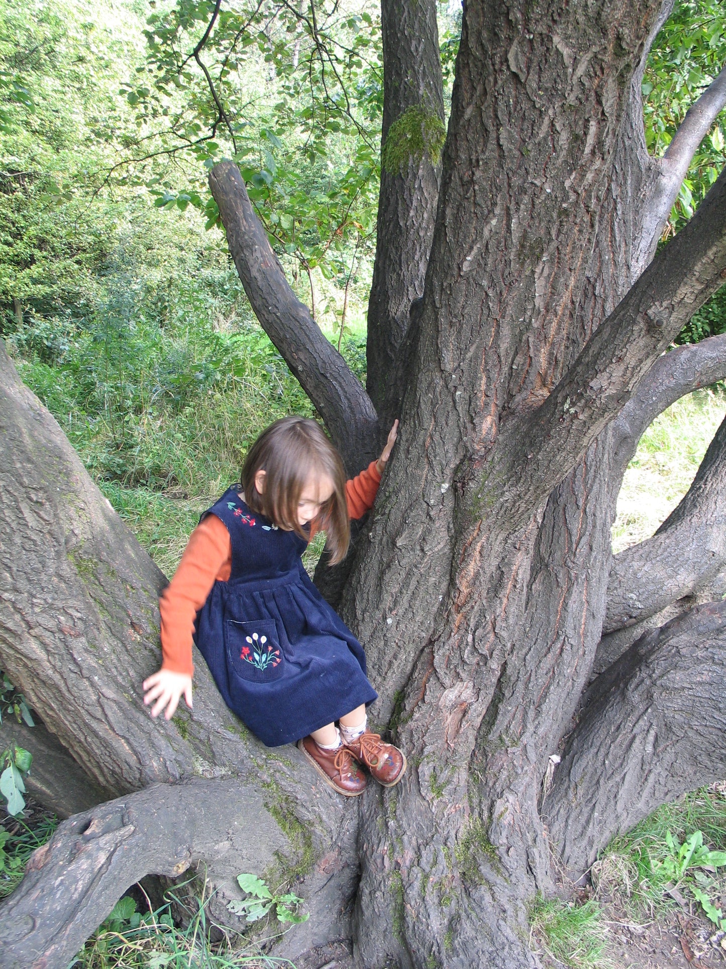 Bramble dress